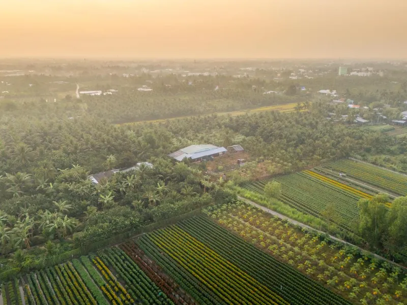 DJP Terbitkan Pedoman Baru Pemberian Pengurangan PBB-P5L