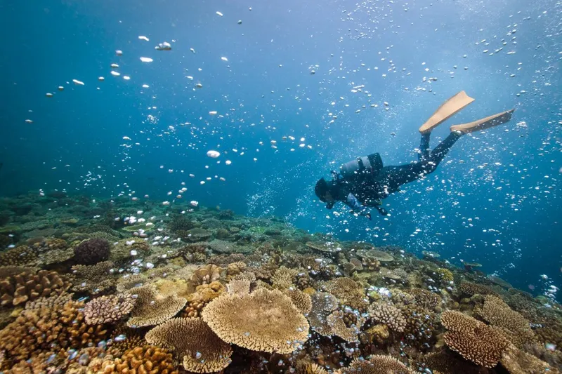 Dorong PAD Pariwisata Bahari, BPKAD Karangasem Perluas Pengawasan Usaha Diving